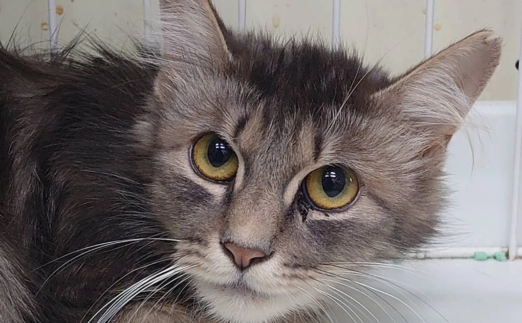 皆様の応援が集まり大きな力となります