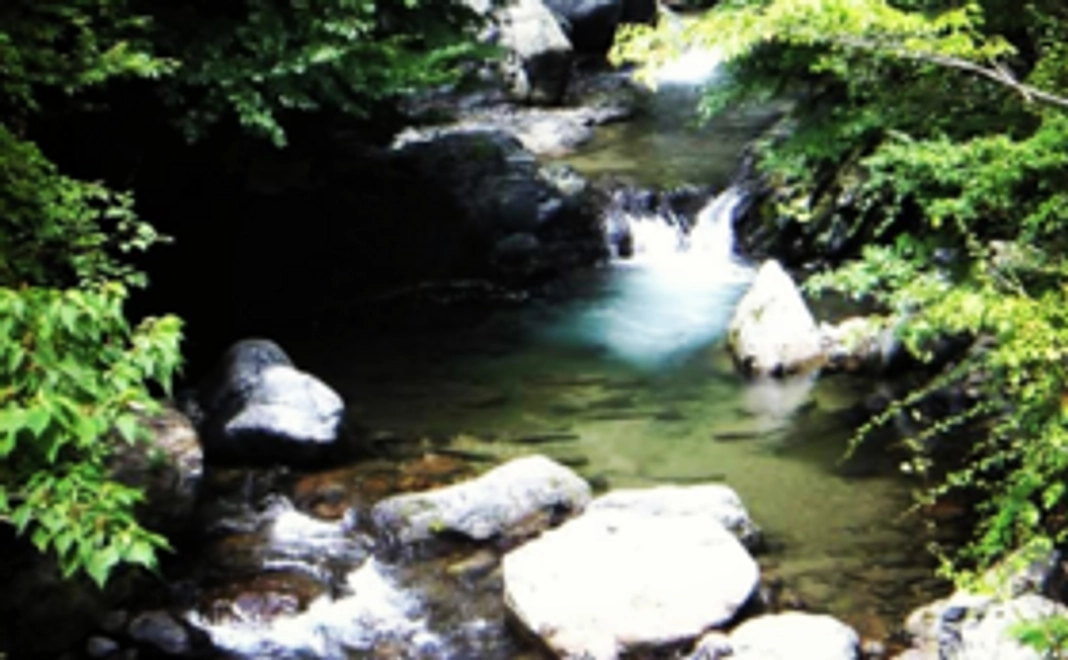 サポーターコース【5千円】サイン入りの初版本を１冊贈呈します！