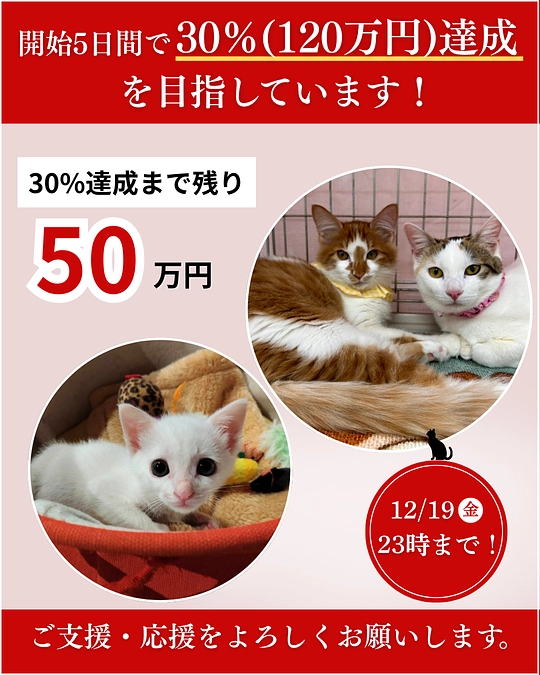 第一関門突破、あと3日💦