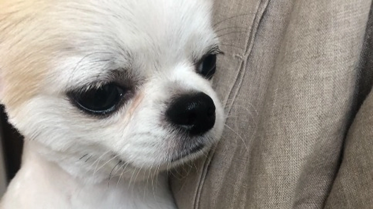 ”術後の経過報告⑯”です。