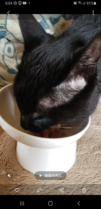 今日のコウちゃん