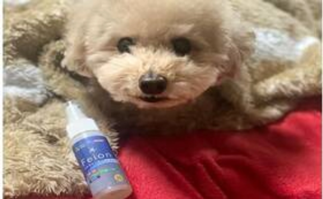 3000円支援コース