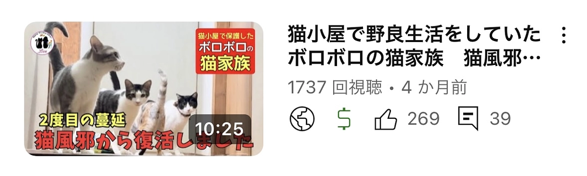 今日からまた親子一緒の生活できるようになりました