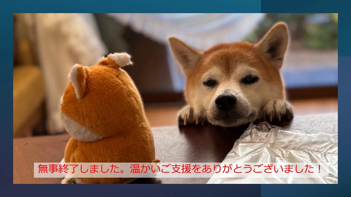 【お礼】クラウドファンディング、無事終了しました。温かいご支援をありがとうございました！