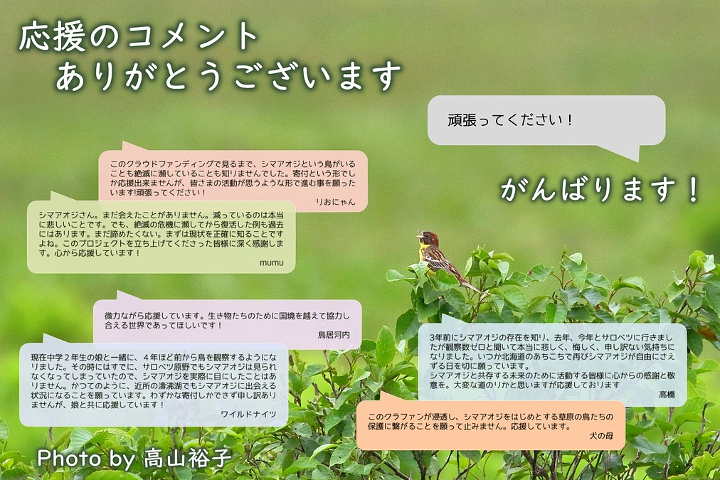 応援のコメント、ありがとうございます！