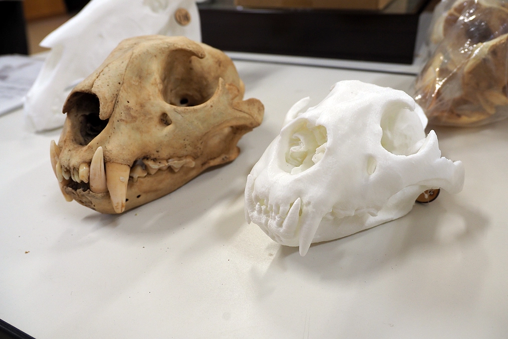 動物園の仕事は楽しい！