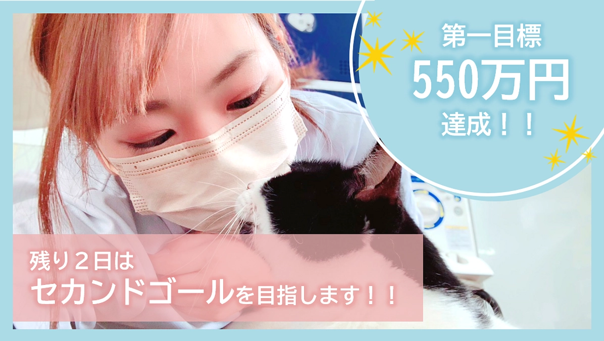第一目標550万円達成🎉🎉残り２日はセカンドゴールを目指します❗❗