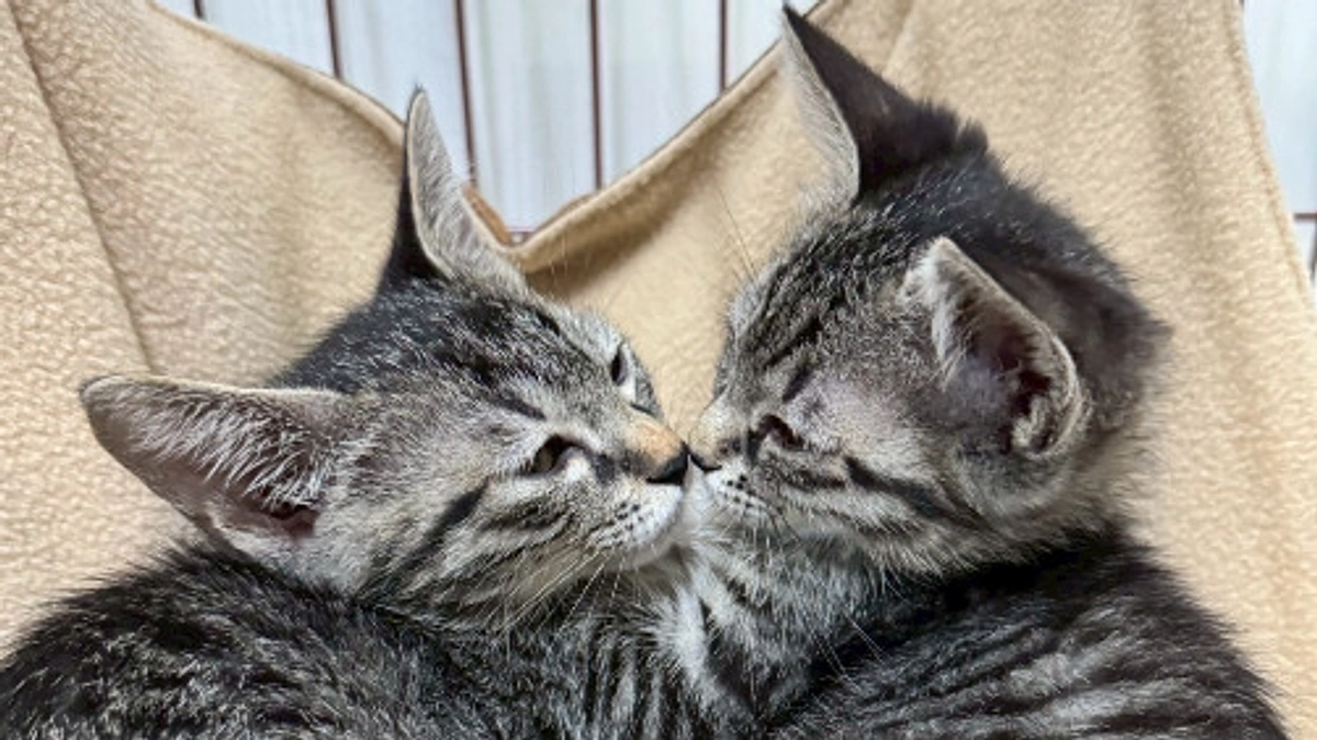 令和7年6月の中間報告！