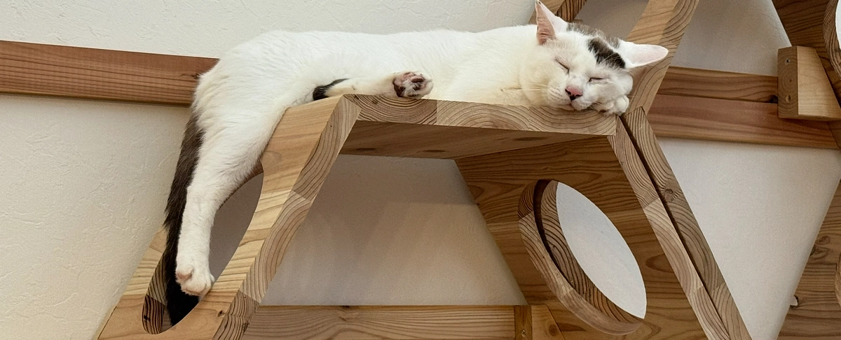 アテネの早食いがゆっくりに！