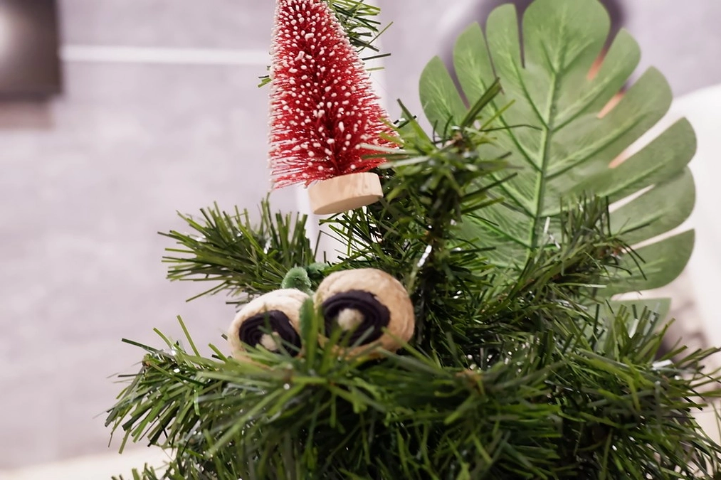 「森の空き地」創作＆ツアー予定