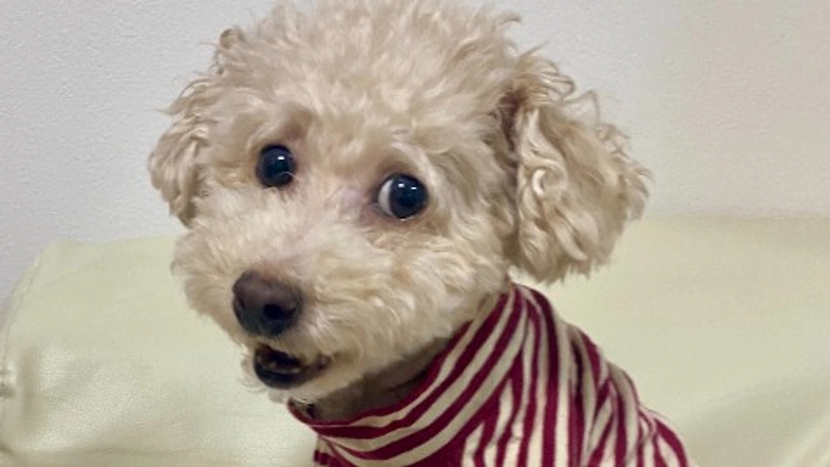 術後9日目。突然の一時退院！