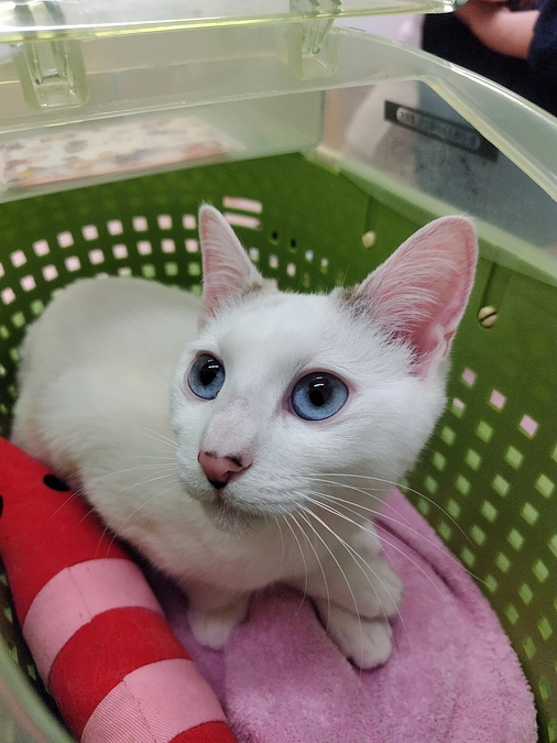 返礼品についてのお知らせ＆受診日です🏥