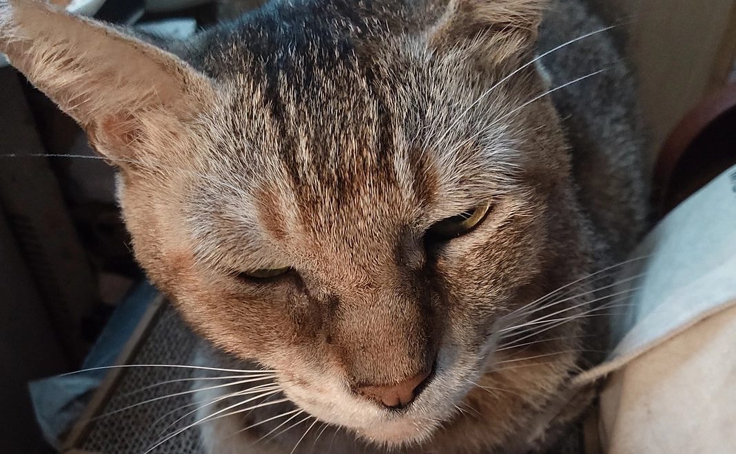 感謝と共に、実物が買えましたらかならず写真付き報告を致します