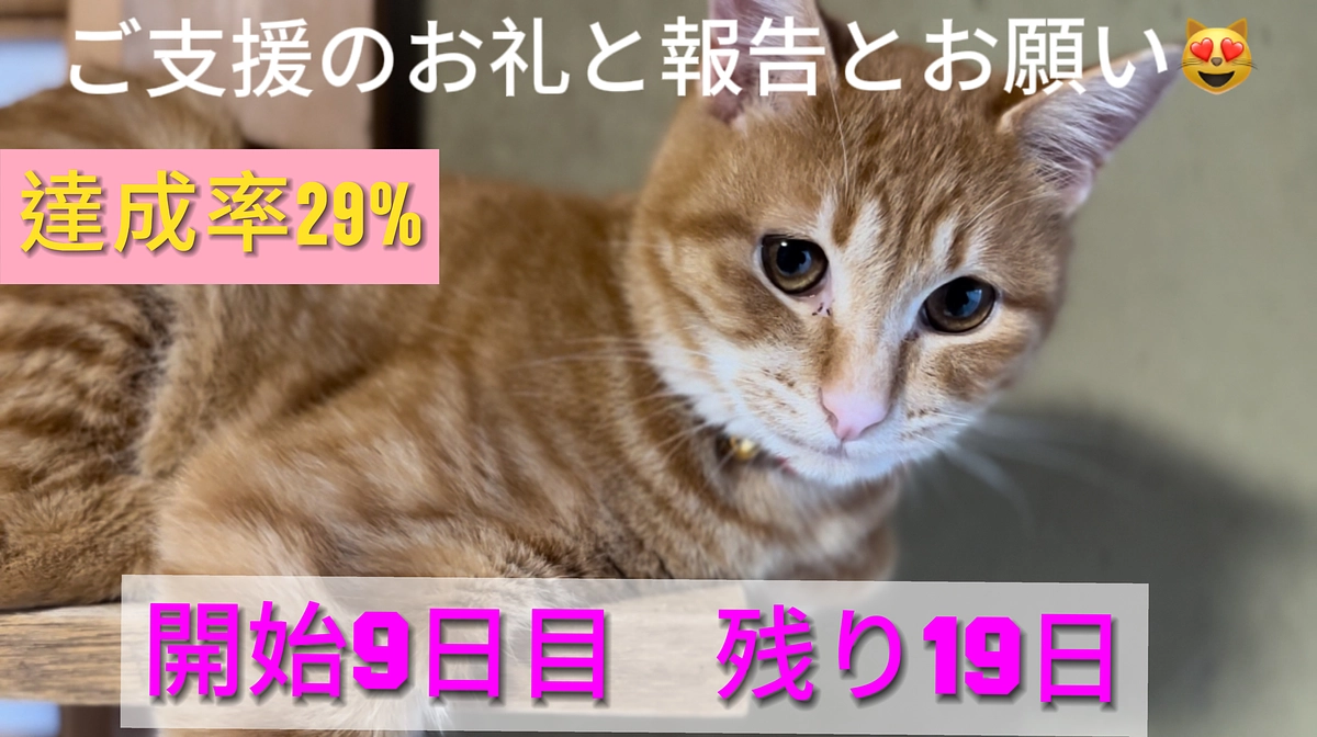 ご支援のお礼と報告とお願い🙇‍♂️