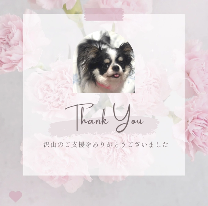 たくさんのご支援誠にありがとうございました