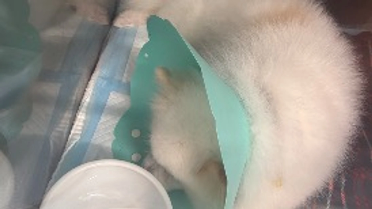 🆘🆘後10分🆘🆘