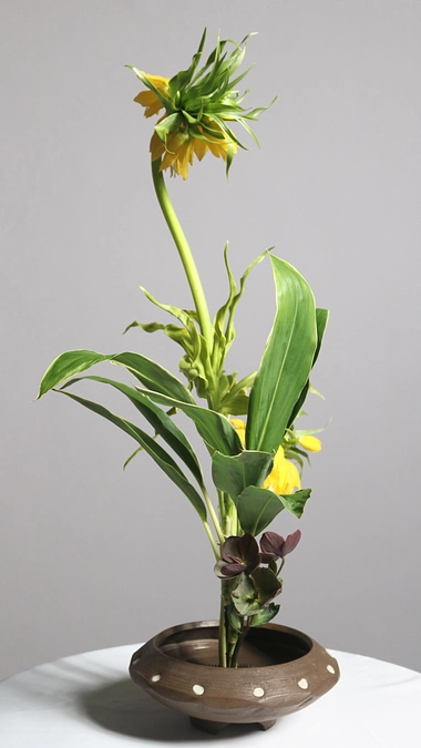 エントリナンバー12