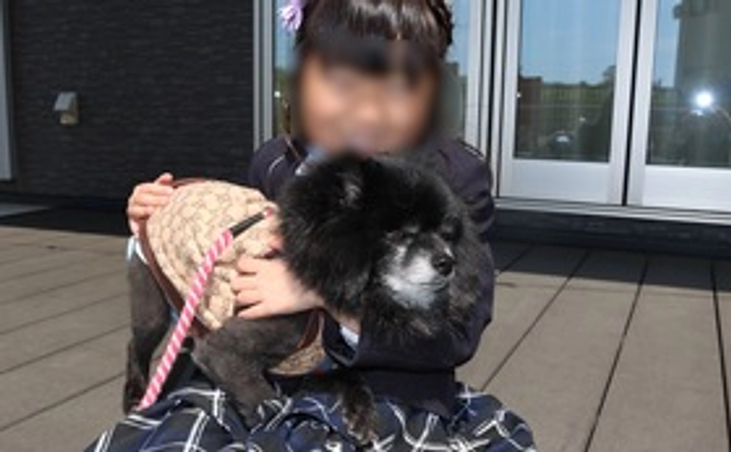 0.まるを救い隊(リターン有り)