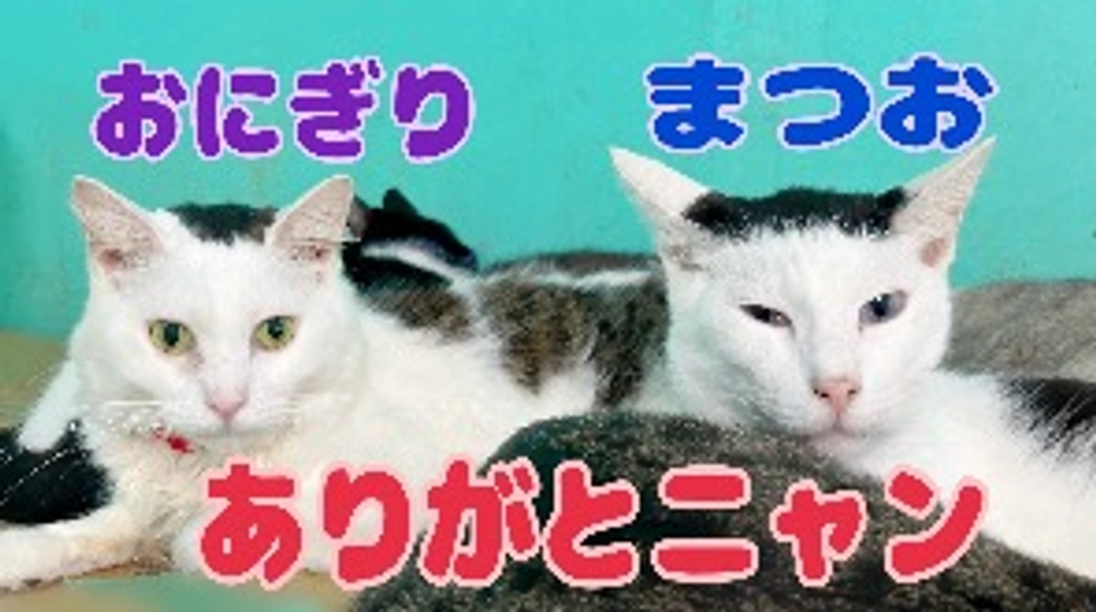 ありがとうございました。感謝