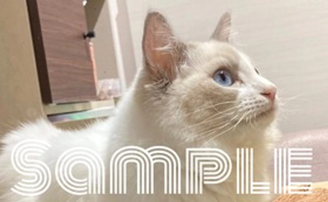 らんまくんへの応援☆☆