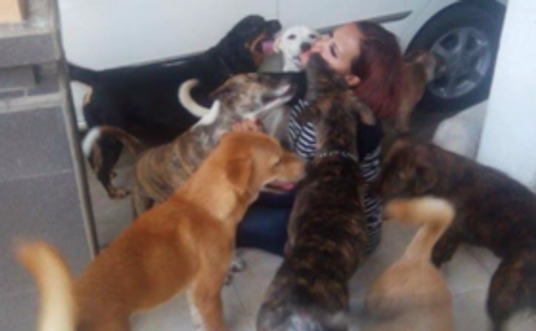 PPSB特製ポストカード