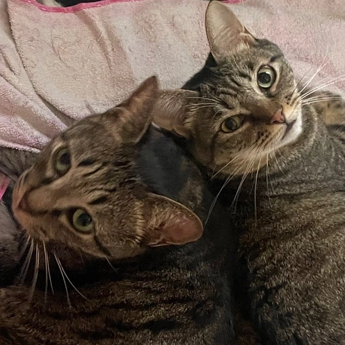 7歳になりました🎂