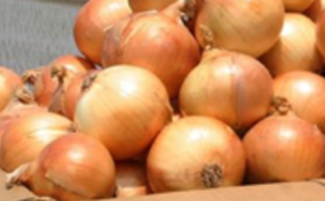 淡路島の特産物（玉ねぎ2箱）