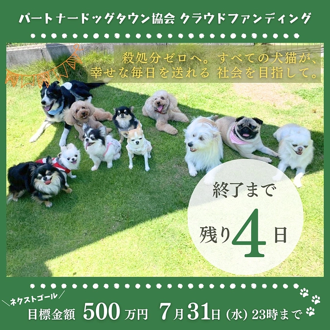 【クラファン終了まで残り4日】7月終了間近…パートナードッグタウンの現状