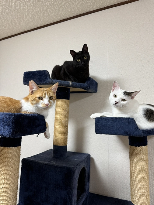 残り1時間🙏🙏🙏