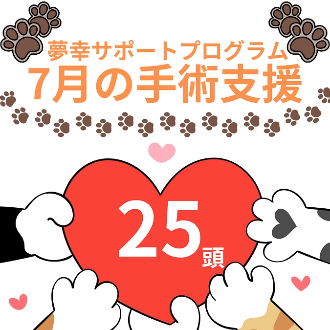 7月は25頭支援できました！累計で42頭です！
