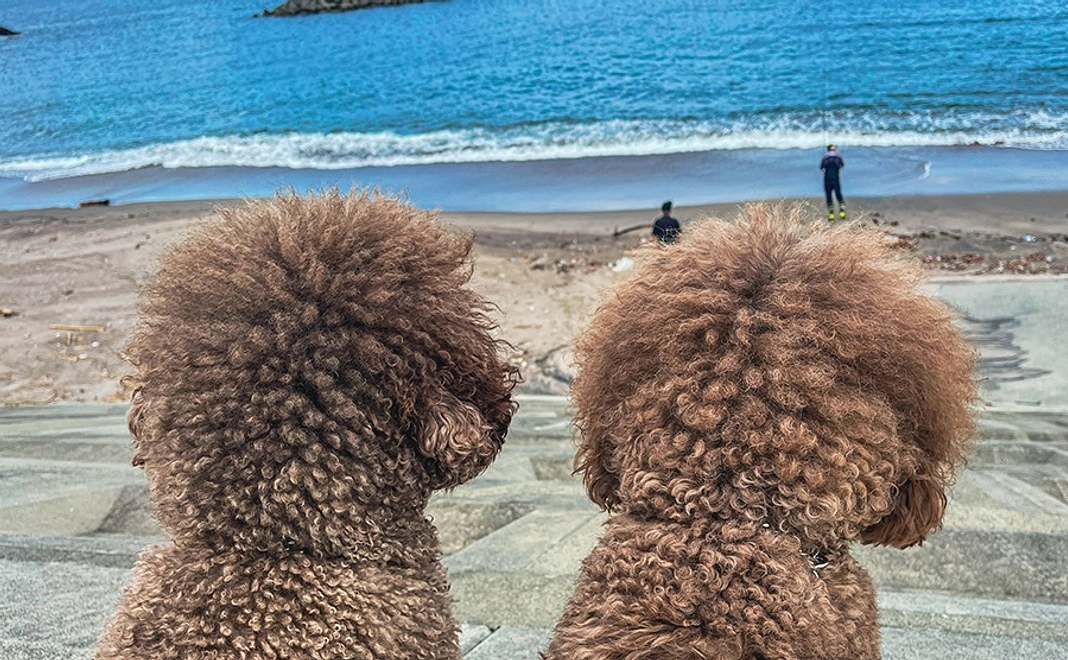 応援コース【10万円】