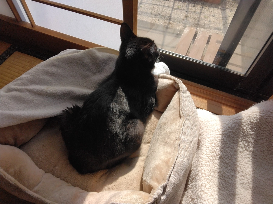 2/21はなちゃんの様子