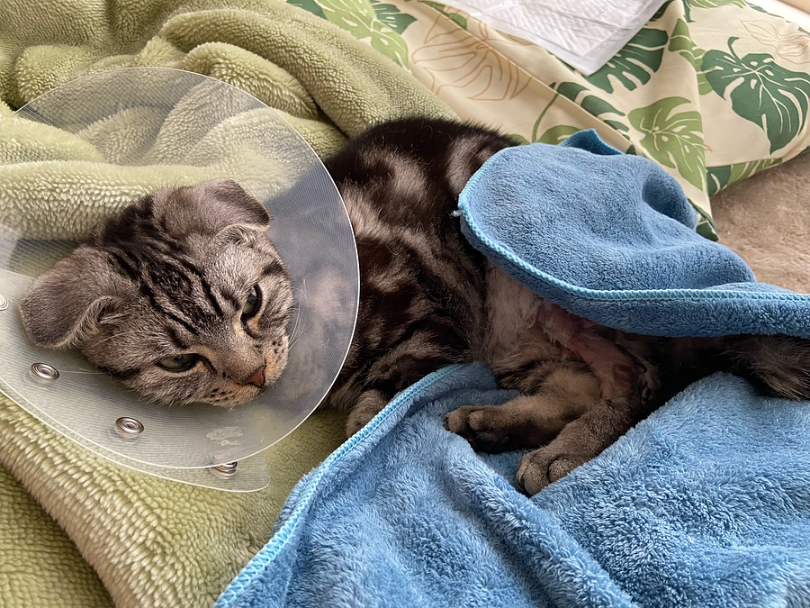 2023.6.9🔥 #闘病生活 52日目🔥