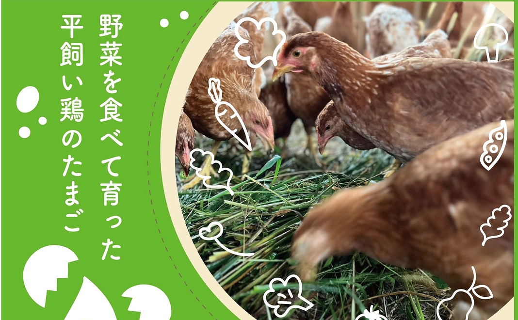 卵で応援コース