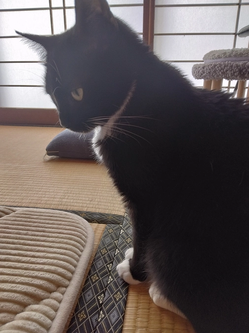 5/1はなちゃんの様子