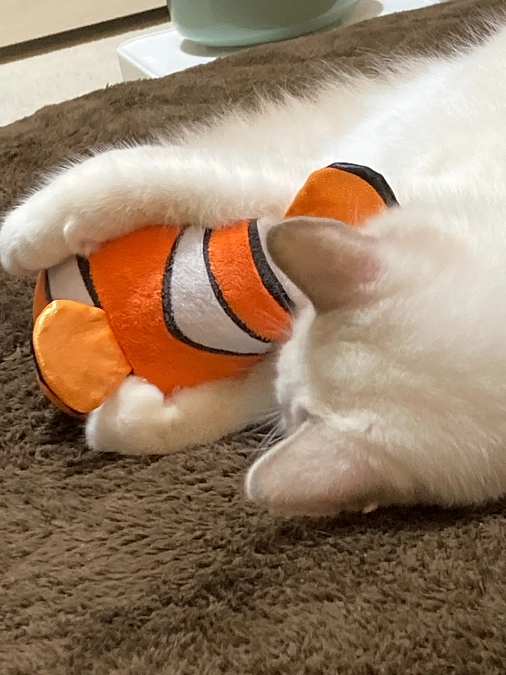 投薬２０日目(2023.4.1)