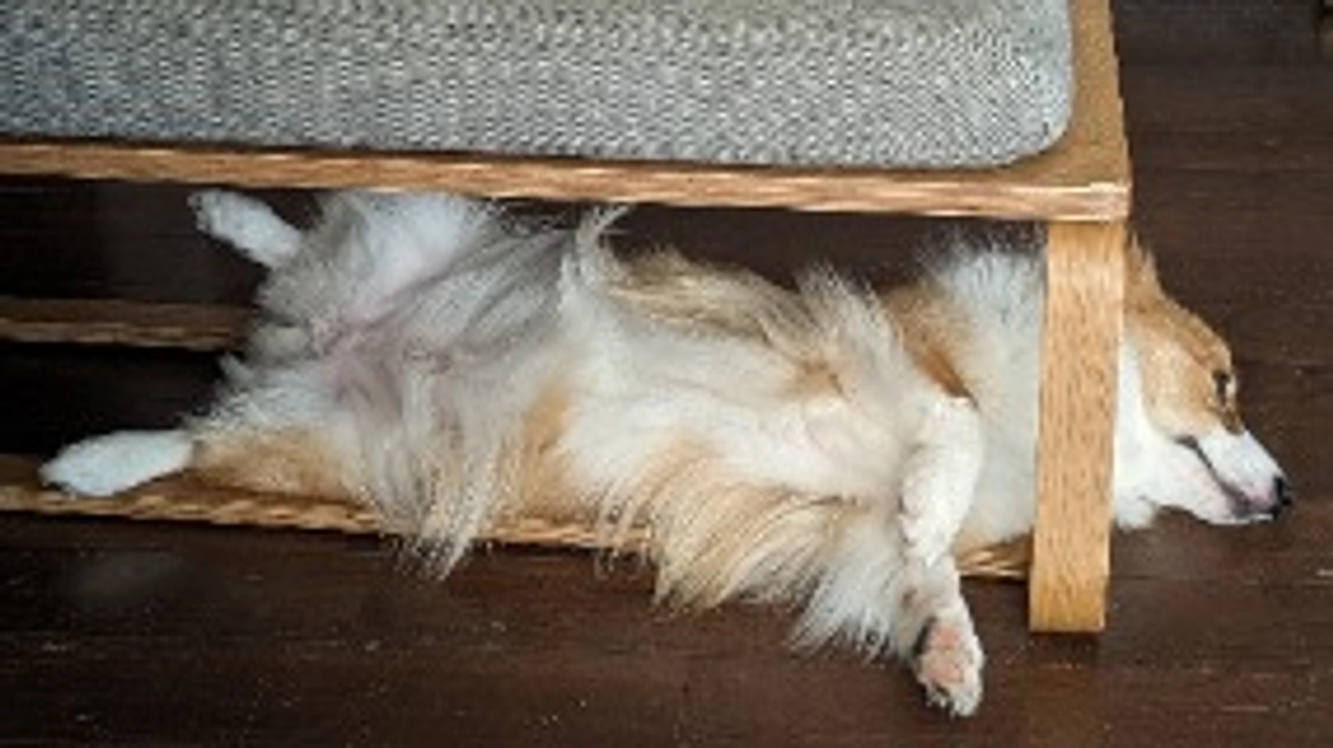 ご支援くださった皆様にお会いしたい🥺✨