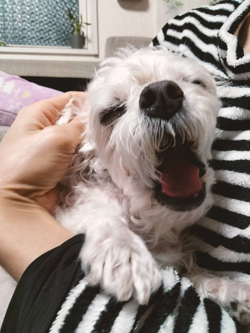 眼がなかなか治らないです