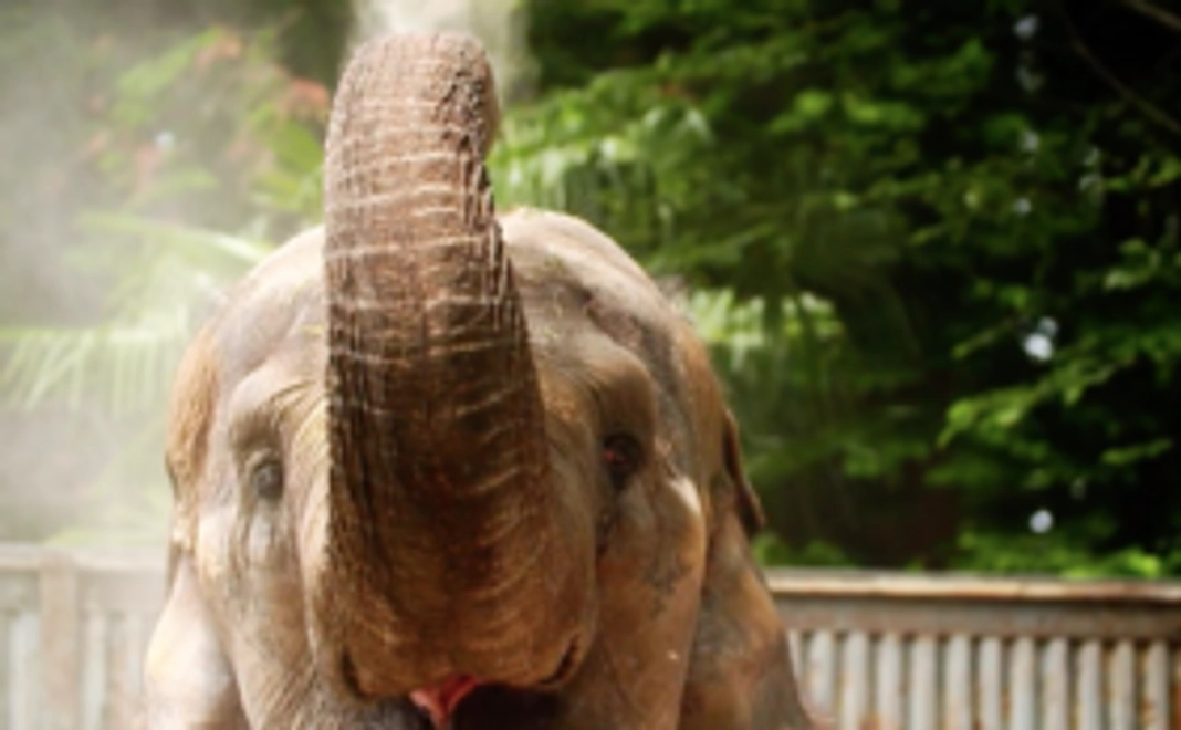 【1万円】豪華なリターンは不要な方向け・応援コース