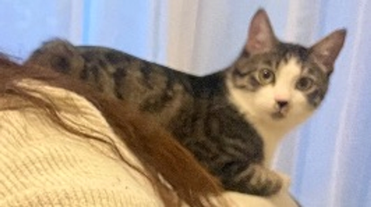 あと一カ月になりました