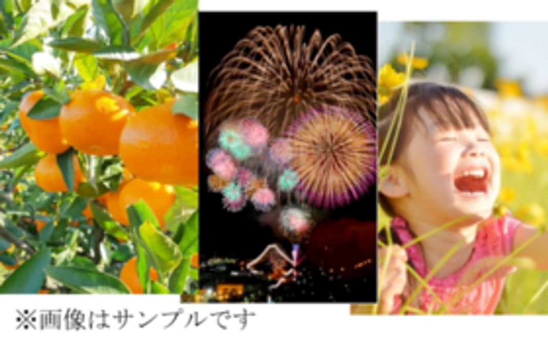 スタッフお礼の手紙~八幡浜の絵はがきに添えて~