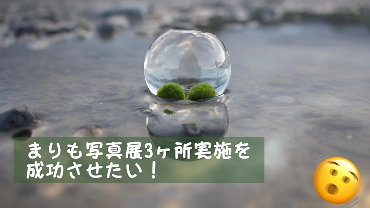 まりも写真展3ヶ所実施を成功させたい！