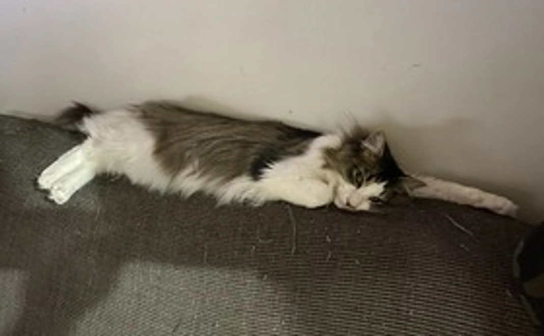 負けるなあんずっち　お礼＆写真コース