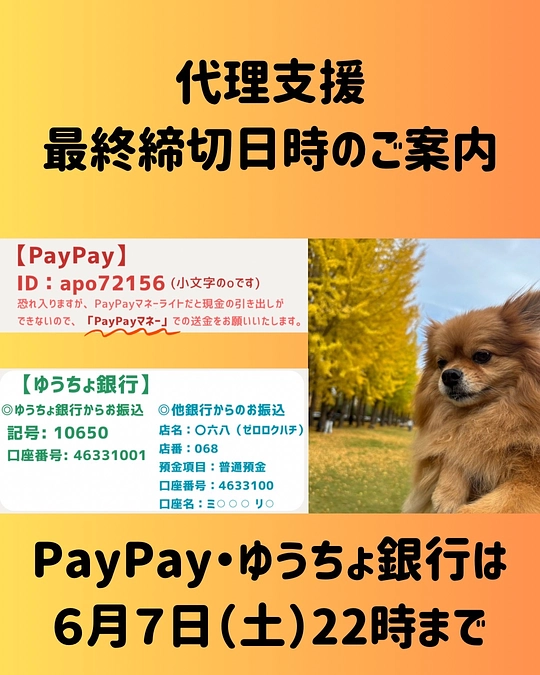 代理支援の最終締切のご案内