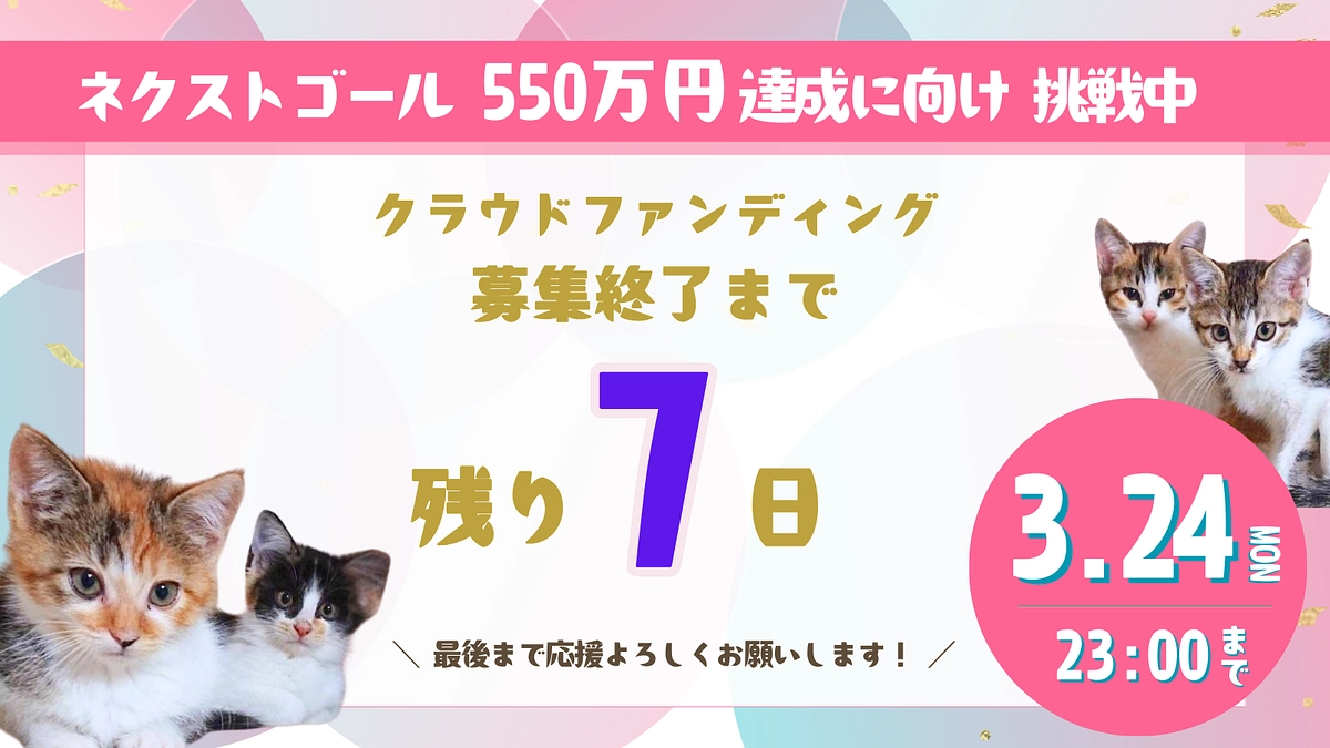 プロジェクト終了まで【残り7日】応援コメントのご紹介