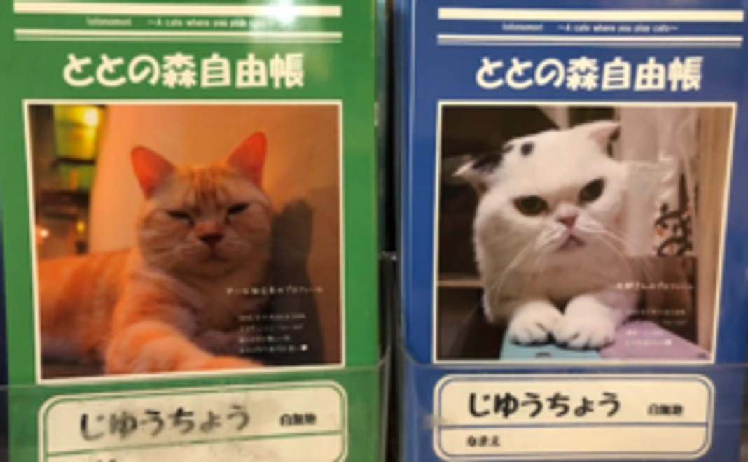 ととの森オリジナル　自由帳2冊セット&お礼のハガキ