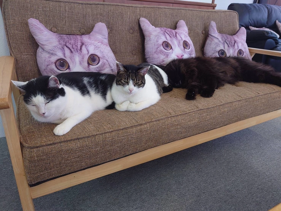 プロジェクト終了のお知らせ