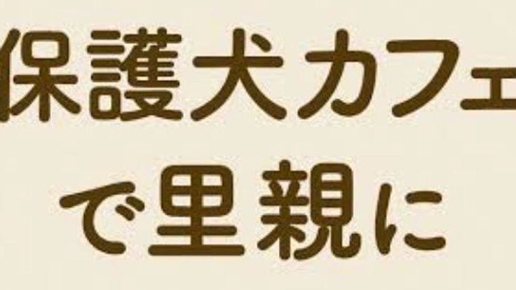 殺処分を減らす為保護犬と里親をマッチング