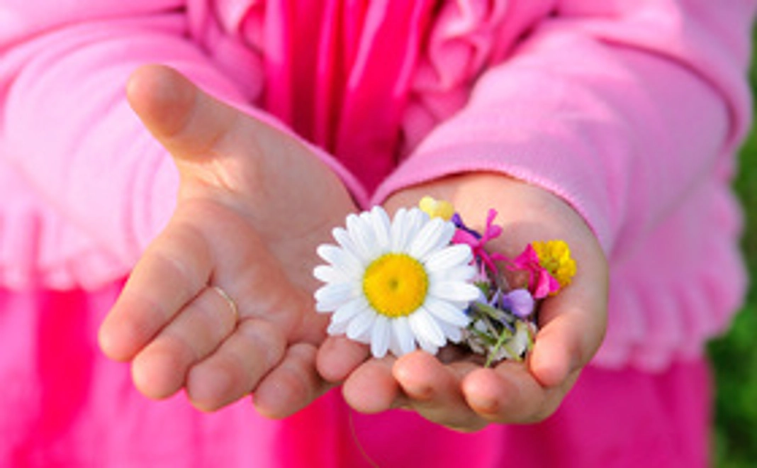 ご支援すべてが設備費に!