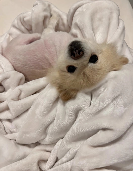 32/59 ☆ 少しずつ心がとける春